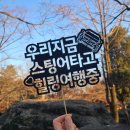 스팅어 언택트 드라이브 이벤트 후기 / 강릉 삼척 동해안 해안도로 코스