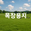 만사목장 이미지
