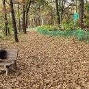 외포항1 이미지