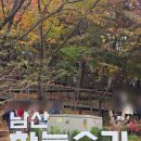 남산막국수 | 뚜벅이 남산하늘숲길 가는방법 (충무로역 출발/내리막길ver/주말 방문후기)