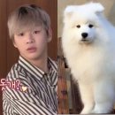 멈무