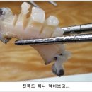 백운수산 이미지