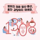 1308 이미지