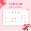 상  월 | 전통한글 첫돌월배너 셀프백일상 50일촬영 백일 첫돌 소품 선택 전 꼭 봐야할 후기 모음