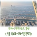 이레팜 | 이틀 뒤 미사일 파편 소식 들은 두바이 여행 팜 주메이라 전망대 후기