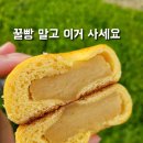 빵13-6 | 통영 가볼만한곳 만나꿀빵, 꿀빵 말고 건강빵 6종 후기 (통영 선물 추천)