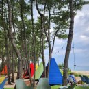 바다정원 이미지