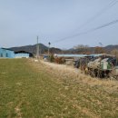 곡성-105 이미지