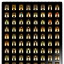 허니독(honey dog) 이미지