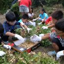 동부초율포분교 이미지