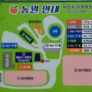 위양지관광농원 이미지