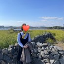 유러하우스민박 | 서귀포 숙소추천 유러하우스, 동백포레스트, 성산 저스트브레드, 성산일출봉, 유채꽃, 제주현대렌트카 후기