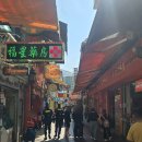 플라워바무니 | 마카오 2박3일 여행 | 타이파 빌리지 핫플 산책 - 초이헝윤, 코이케이, 로드스토우, 모찌마카오, 세이키...