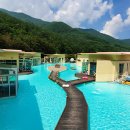 드위트리 풀빌라펜션 & 카라반가든 이미지