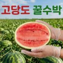 로얄 - 연제구 | 로얄