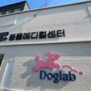 링크동물의료센터 이미지
