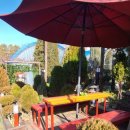 그린브라우니 이미지