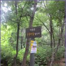 올레길 산림형 1코스 이미지