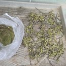 천마가스 이미지