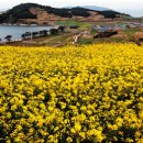 동화속풍경 이미지