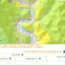 원주시 호저면 용곡리 산 올관리 10만평 급매(적극추천) 이미지