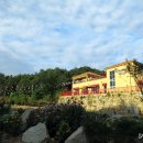 커피허브핫 이미지