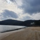 발포해수욕장 이미지