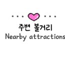 플래닛가야 이미지