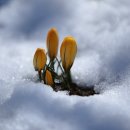 그리고봄 이미지