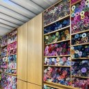 예랑미한복 이미지