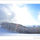 태백산목장 이미지