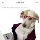 솜소밍 이미지
