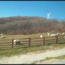 남진축산 이미지