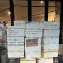 세븐일레븐가락점 | [서울식당] 이장우 &#39;우불식당&#39; 솔직후기 / 가락시장 즉석우동 맛집인가? 직접 가봤더니...