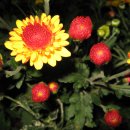 삼성동-04 이미지