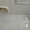 새싹, 화합 이미지