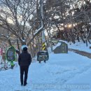 봉곡사 - 1669 | 아산 봉곡사