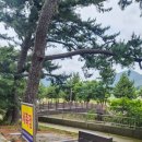 주말 순삭 일기 : 아이들과 추억의 방죽포 해수욕장(방문 시 주의사항 필독!!)