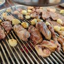 현지네 농원 이미지