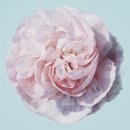 뮤즈세움 이미지