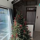 나진별채 이미지