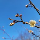 매화도서관 이미지