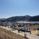 예가애견 | 2026 공주 군밤축제 애견동반 후기 주차 꿀팁