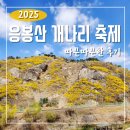 응봉자전거대여소 | 2025 응봉산 개나리 축제 다녀온 따끈따끈한 후기 응봉산 주차 개나리 개화상황 포함