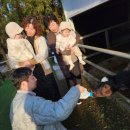 새보라목장 | 쌍둥이 돌아기랑 제주 2탄 (런던베이글뮤지엄, 몽탄, 아침미소목장)