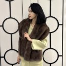 A151 이미지