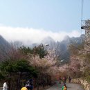 대둔산주유소 이미지