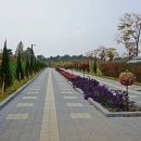 파크스포츠센타 이미지