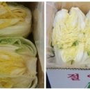 해남땅끝농산