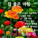 8월 5일 (수) (끝말잇기 )방은 애타게 기다리던 비가 내린 여름 이미지